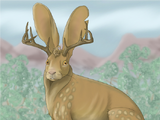 Jackalope