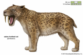 Sabre-cat