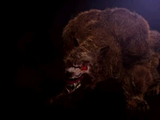 Beast of Bears