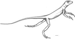 Eudibamus