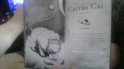 Catcus Cat