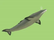 That could be a new species of fresh water dolphins made by Adam Lakatos