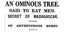 Auckland-Star-January-17-1933