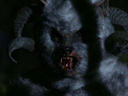 Sheepsquatch