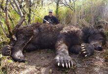 giant bear paw