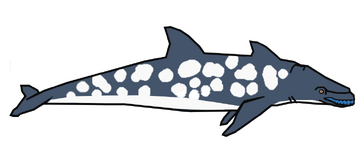 Rhinoceros dolphinn.png