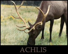 ACHLIS