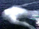 A Ningen sighted, most likely just an iceberg.