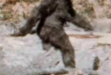 Bigfoot | Cryptid Wiki | Fandom
