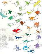 Wyvern Evolution of the Family Tree