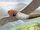 Copiapo Giant Bird