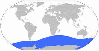 Range of the colossal squid