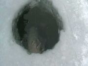 FISHHOLE.jpg