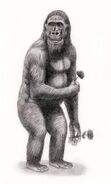 https://www.deviantart.com/jagroar/art/Almas-unidentified-great-ape-cryptozoology-363486874 (91 KB) Almas (unidentifiable great ape: cryptozoology)