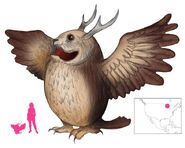 Image from abookofcreatures.com