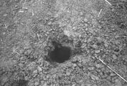 Hole.jpg