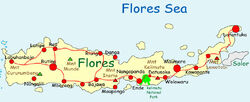 Flores Map.jpg