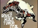 The Tumor Seal of Mel’s Other Hole