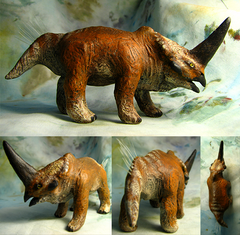 A new species of the ceratopsida?
