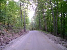 Velvet Street (Dracula Drive)