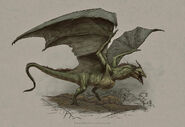 Swamp Wyvern