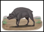 Veryfat.png