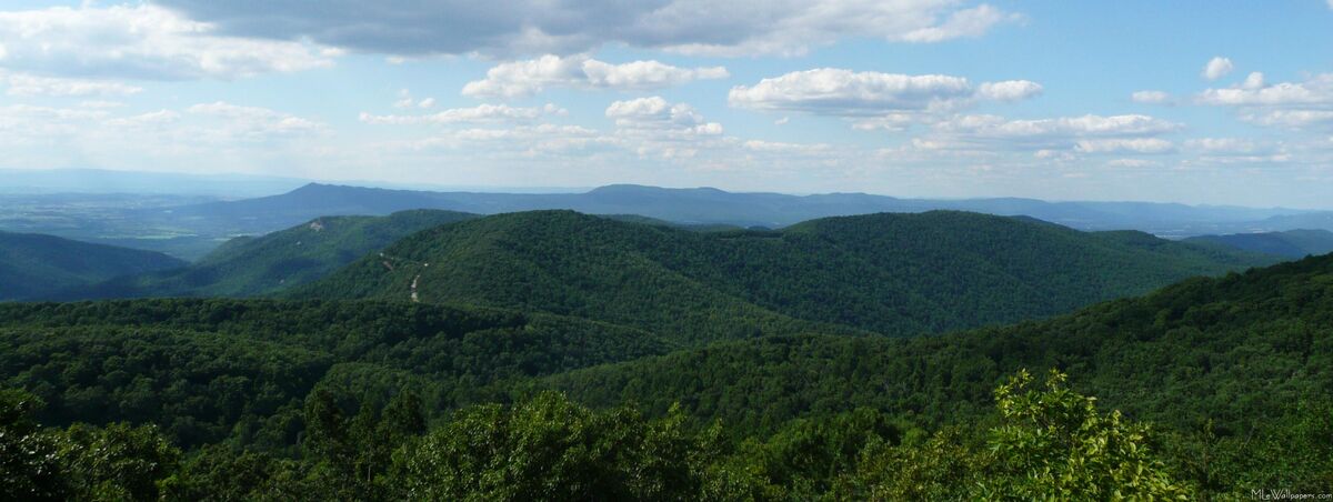 Как выглядит город аппалачи Category:Appalachia Cryptid Wiki Fandom