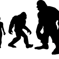 Types Of Yetis Cryptid Wiki Fandom