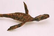 Dragon Fish (364×180mm) Found in Loch Ness, Scotland in 1999.