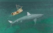 A reconstruction of a megalodon, alive in the modern day.