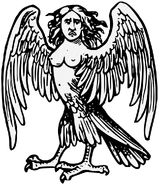 A harpy depicted in it's traditional appearance