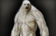 Early yeti