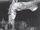 Giant Goblin Shark