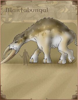 P0Elephant
