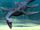 Plesiosaurs.jpg