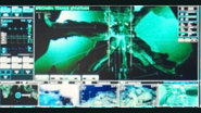 Krakens x Ray in Godzilla Kotm. While the name of the x Ray says leviathan. The location being the Indian Ocean. (Where kraken was contained by monarch) proves that this a x Ray of kraken