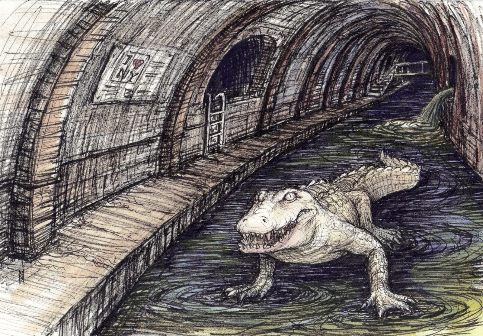 Sewer Alligator | Cryptid Wiki | Fandom