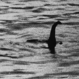 Loch-ness-monster 1466828i