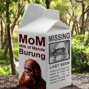 “The milk was sour with a mixture of bitterness