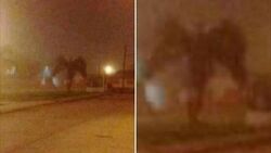 Demon picture