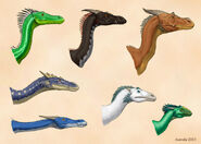 Dragon species