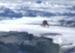 Mcmurdo