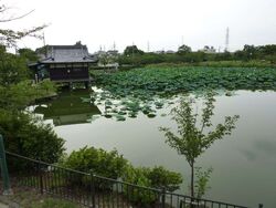 Amagaike