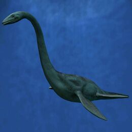 Plesiosaur 4 large
