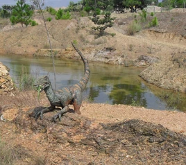 Gondava velociraptor