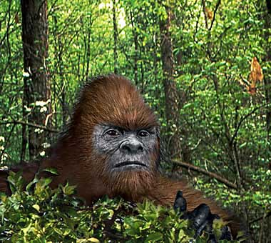 South American Bigfoot | Cryptid Wiki | Fandom