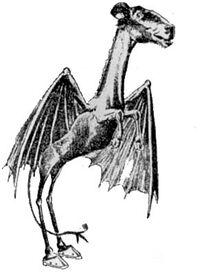 Jersey-devil
