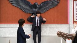Giant Crow
