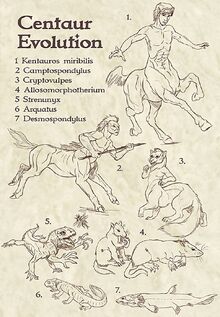 Origin Evolution of Centaurs.