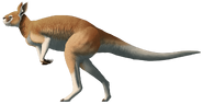 If the Burrunjor is actually a bipedal-walking Procoptodontid kangaroo.